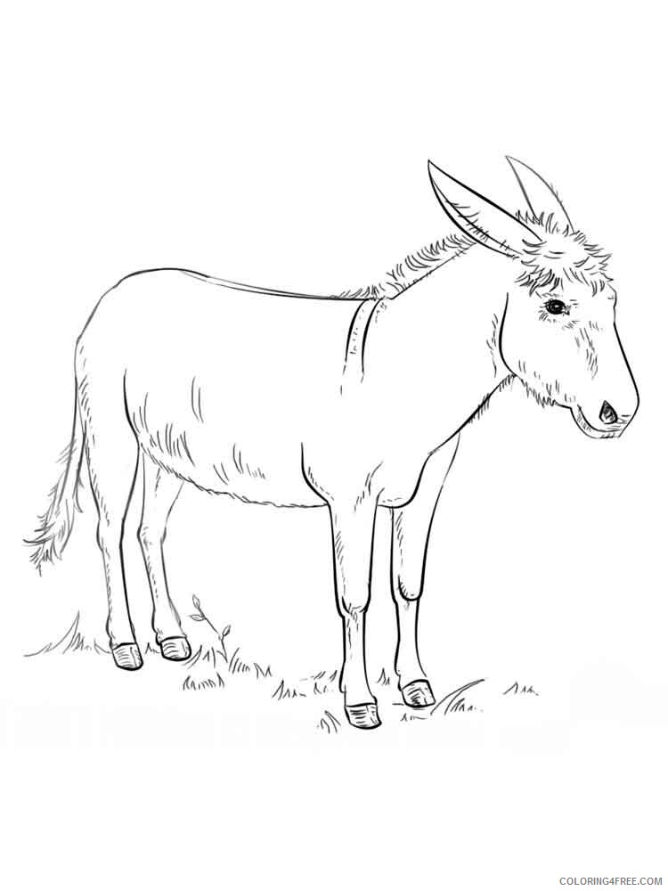 Donkey Coloring Pages Animal Printable Sheets donkey 4 2021 1694 Coloring4free