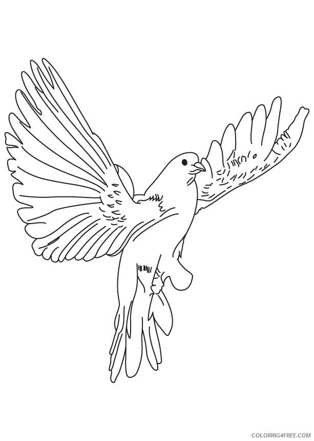 Dove Coloring Sheets Animal Coloring Pages Printable 2021 1331 Coloring4free