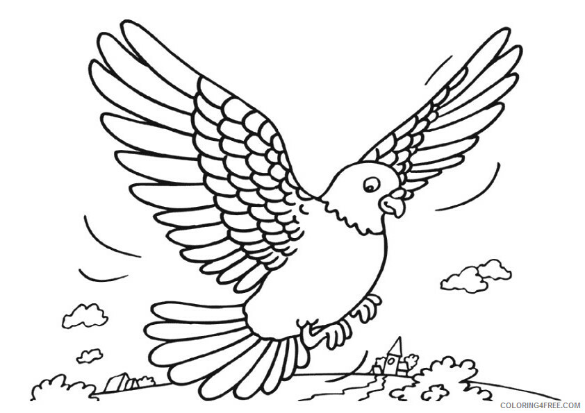 Dove Coloring Sheets Animal Coloring Pages Printable 2021 1344 Coloring4free