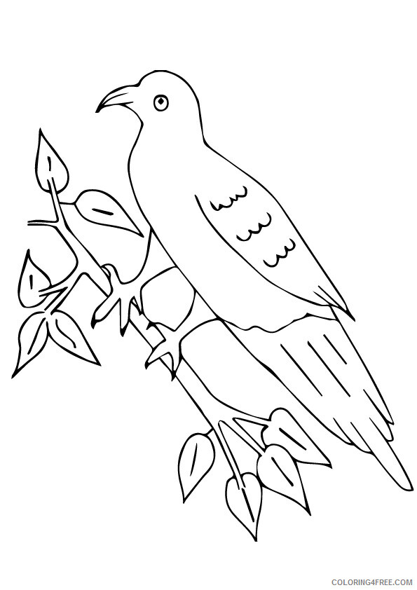Dove Coloring Sheets Animal Coloring Pages Printable 2021 1347 Coloring4free