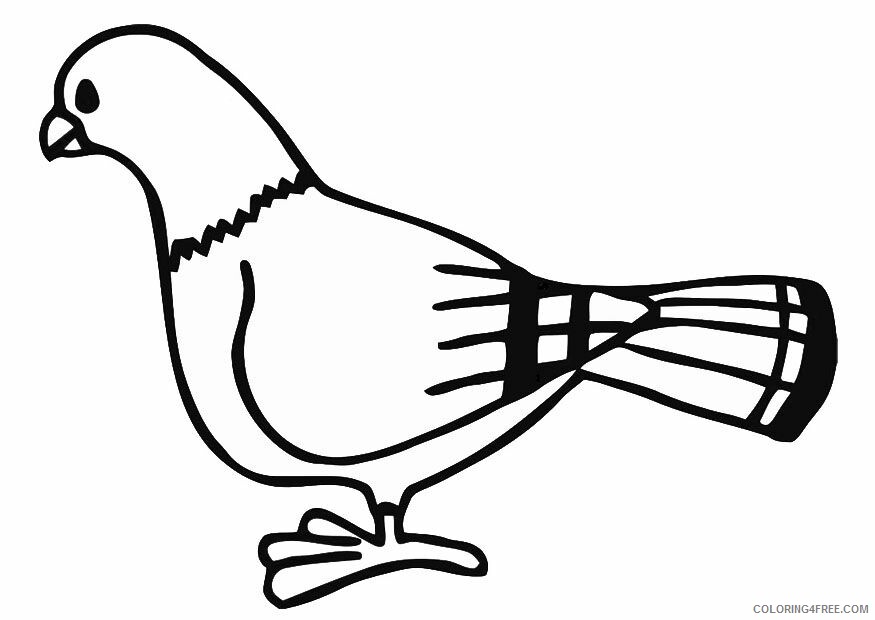 Dove Coloring Sheets Animal Coloring Pages Printable 2021 1349 Coloring4free