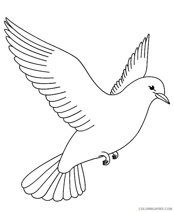 Doves Coloring Pages Animal Printable Sheets Dove 2021 1703 Coloring4free