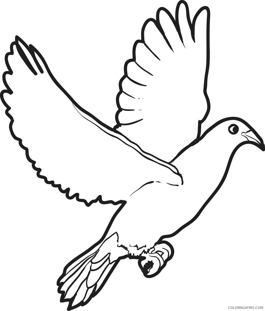 Doves Coloring Pages Animal Printable Sheets Dove 2021 1711 Coloring4free