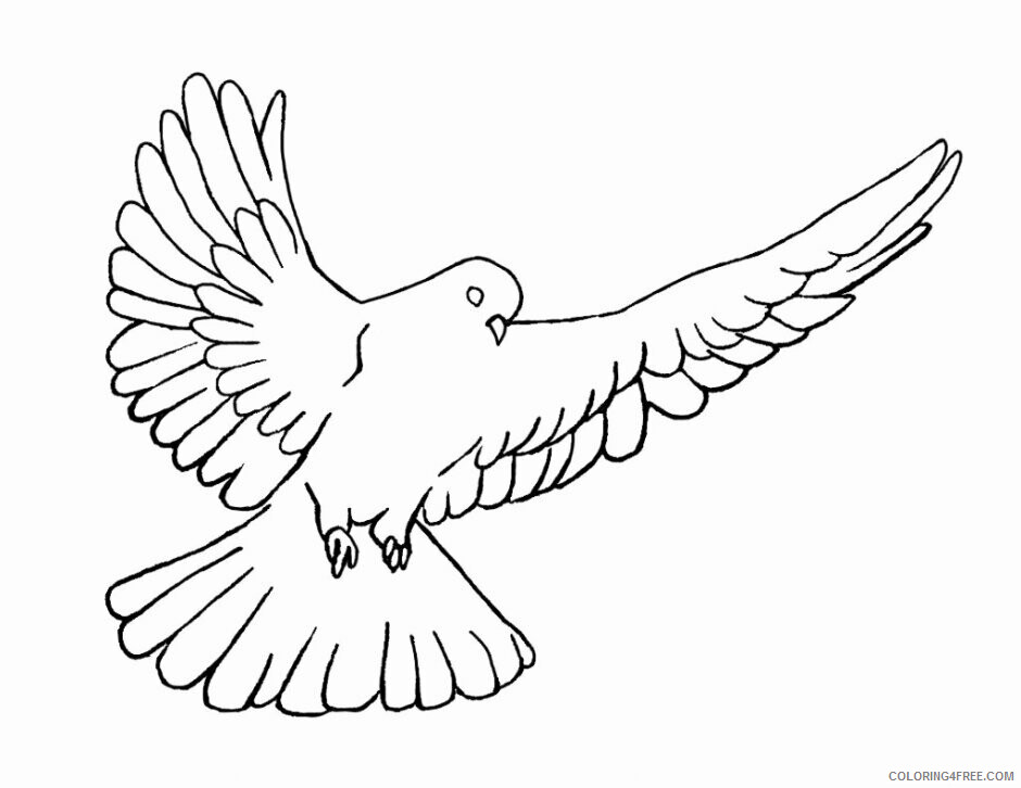 Doves Coloring Pages Animal Printable Sheets Dove Flying 2021 1707 Coloring4free