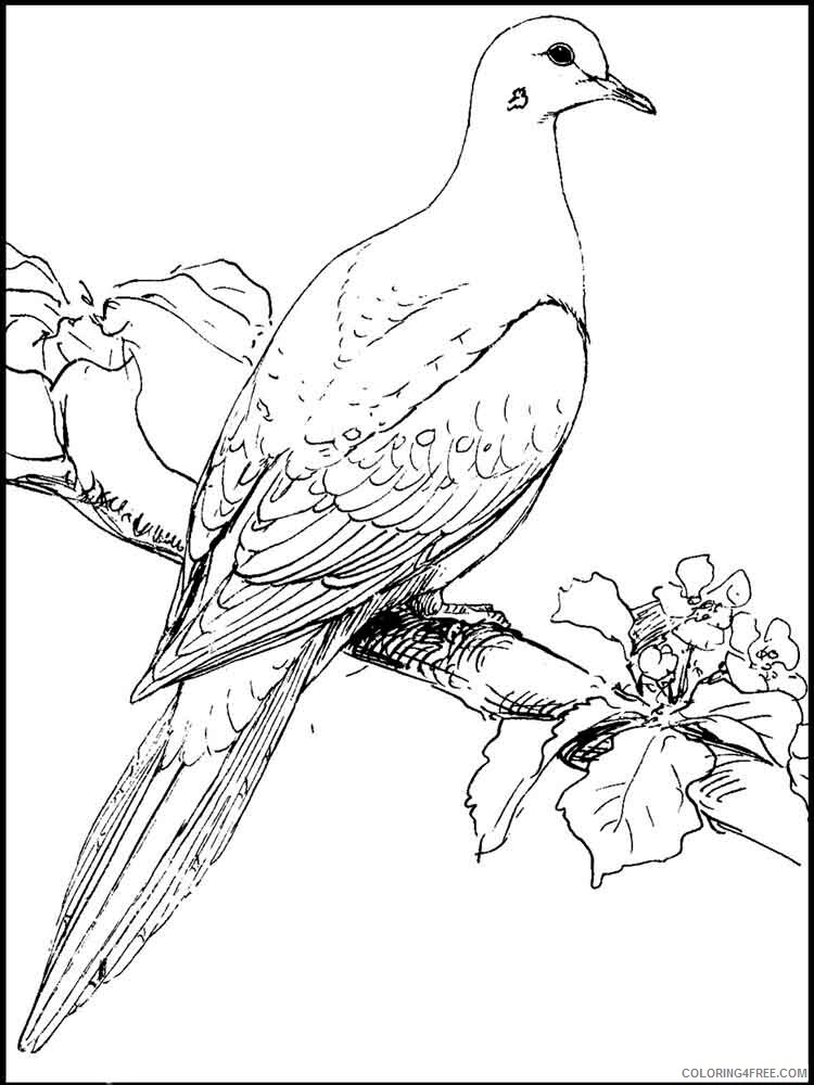 Doves Coloring Pages Animal Printable Sheets Doves birds 11 2021 1713 Coloring4free