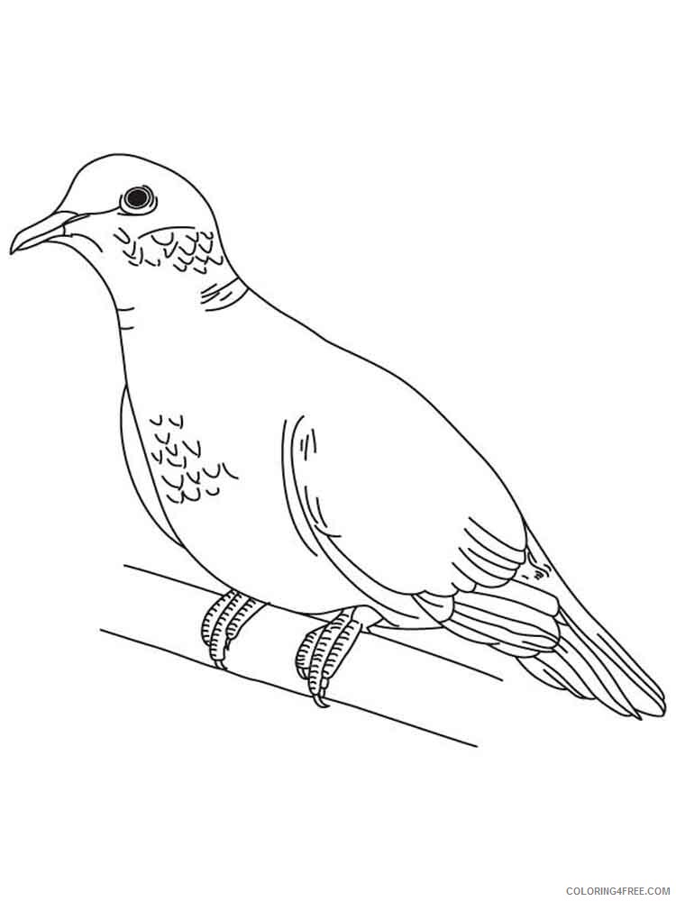 Doves Coloring Pages Animal Printable Sheets Doves birds 4 2021 1714 Coloring4free