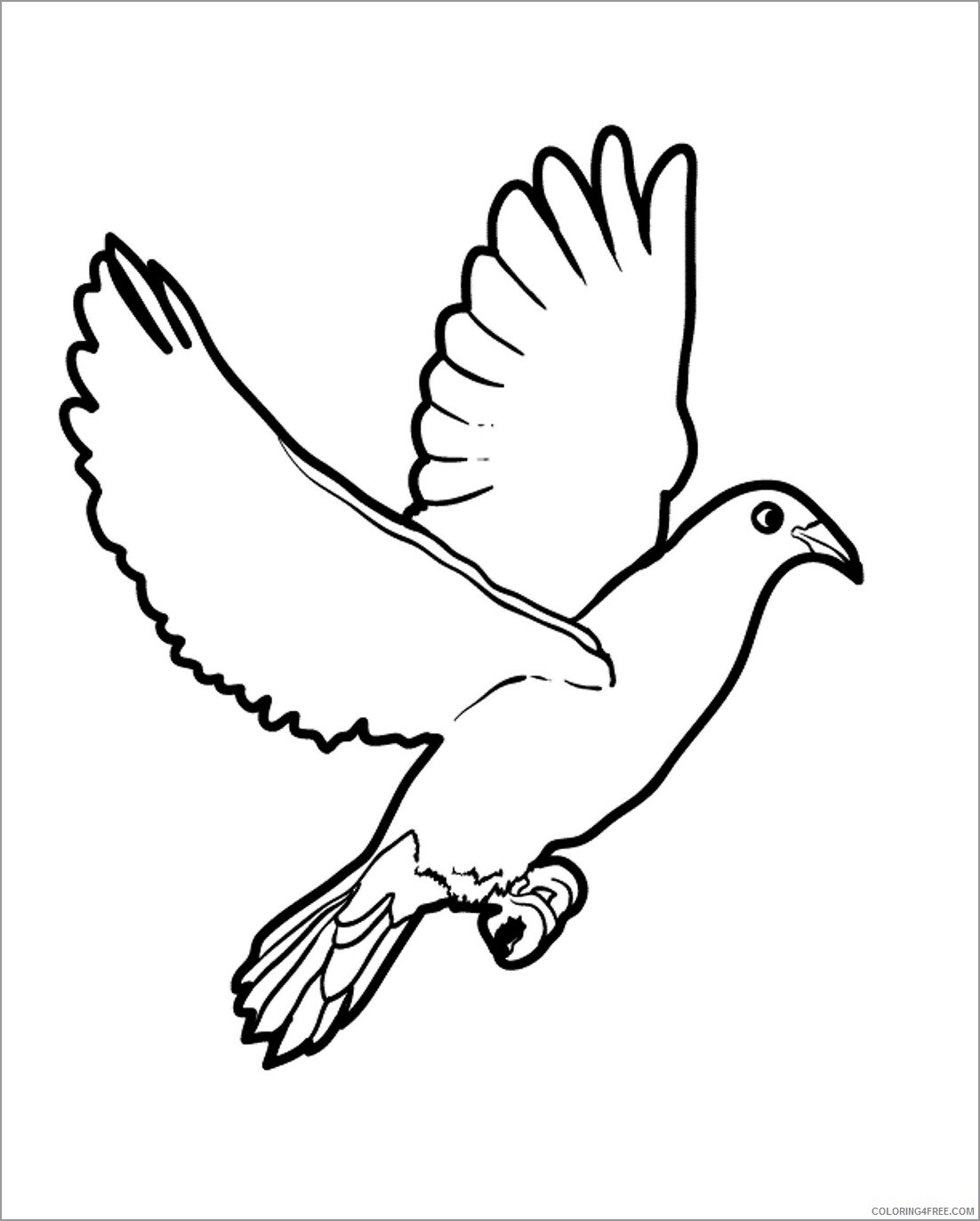 Doves Coloring Pages Animal Printable Sheets dove bird 2021 1702 Coloring4free