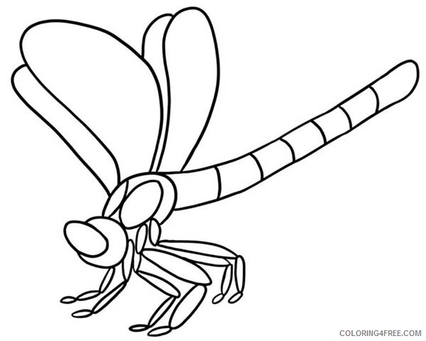 Dragonfly Coloring Pages Animal Printable Sheets Dragonfly Species of Bugs 2021 Coloring4free