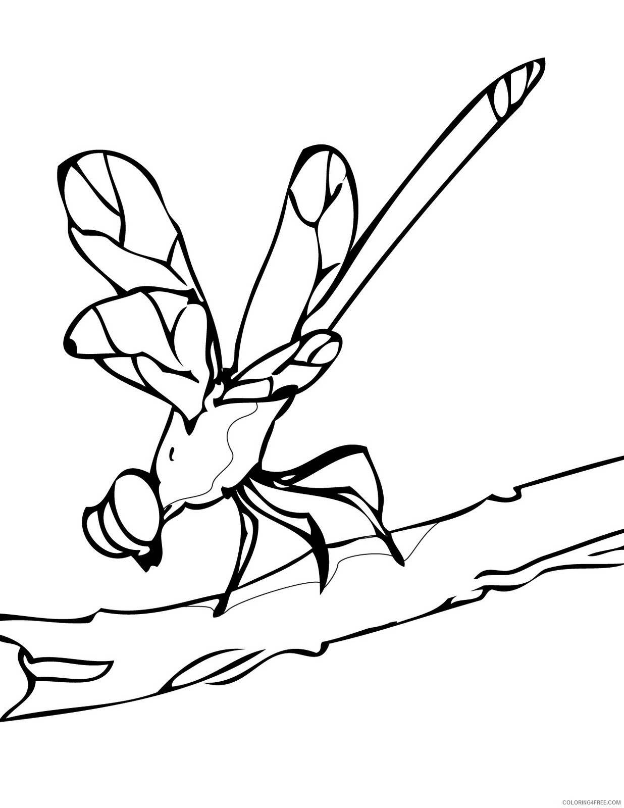 Dragonfly Coloring Pages Animal Printable Sheets Printable Dragonfly 2021 1784 Coloring4free
