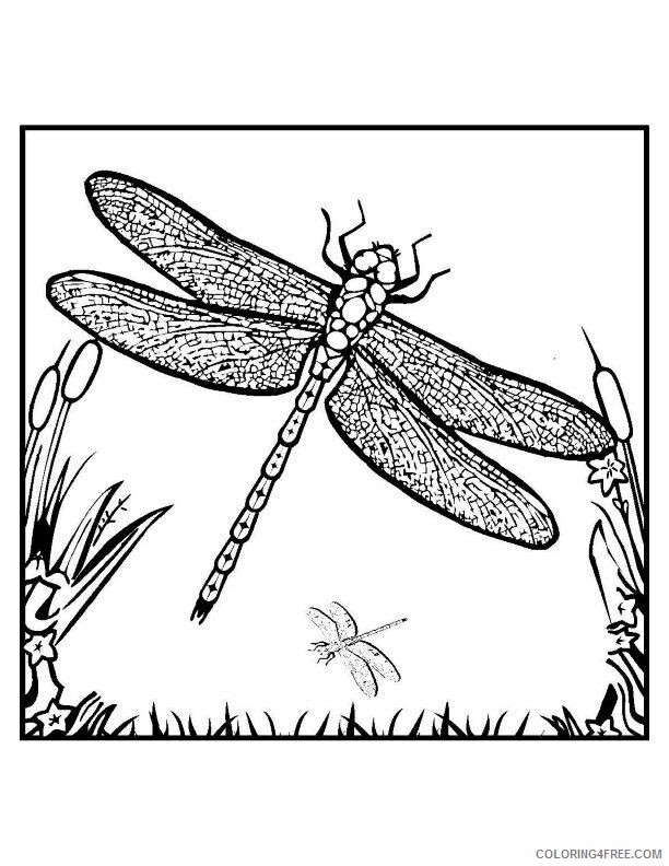 Dragonfly Coloring Sheets Animal Coloring Pages Printable 2021 1438 Coloring4free