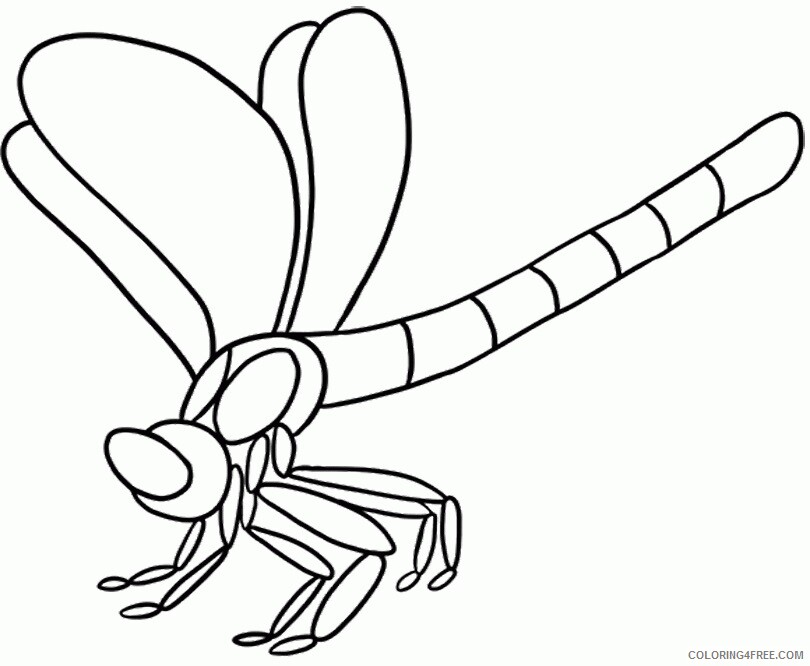 Dragonfly Coloring Sheets Animal Coloring Pages Printable 2021 1447 Coloring4free