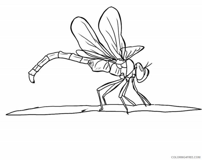 Dragonfly Coloring Sheets Animal Coloring Pages Printable 2021 1454 Coloring4free