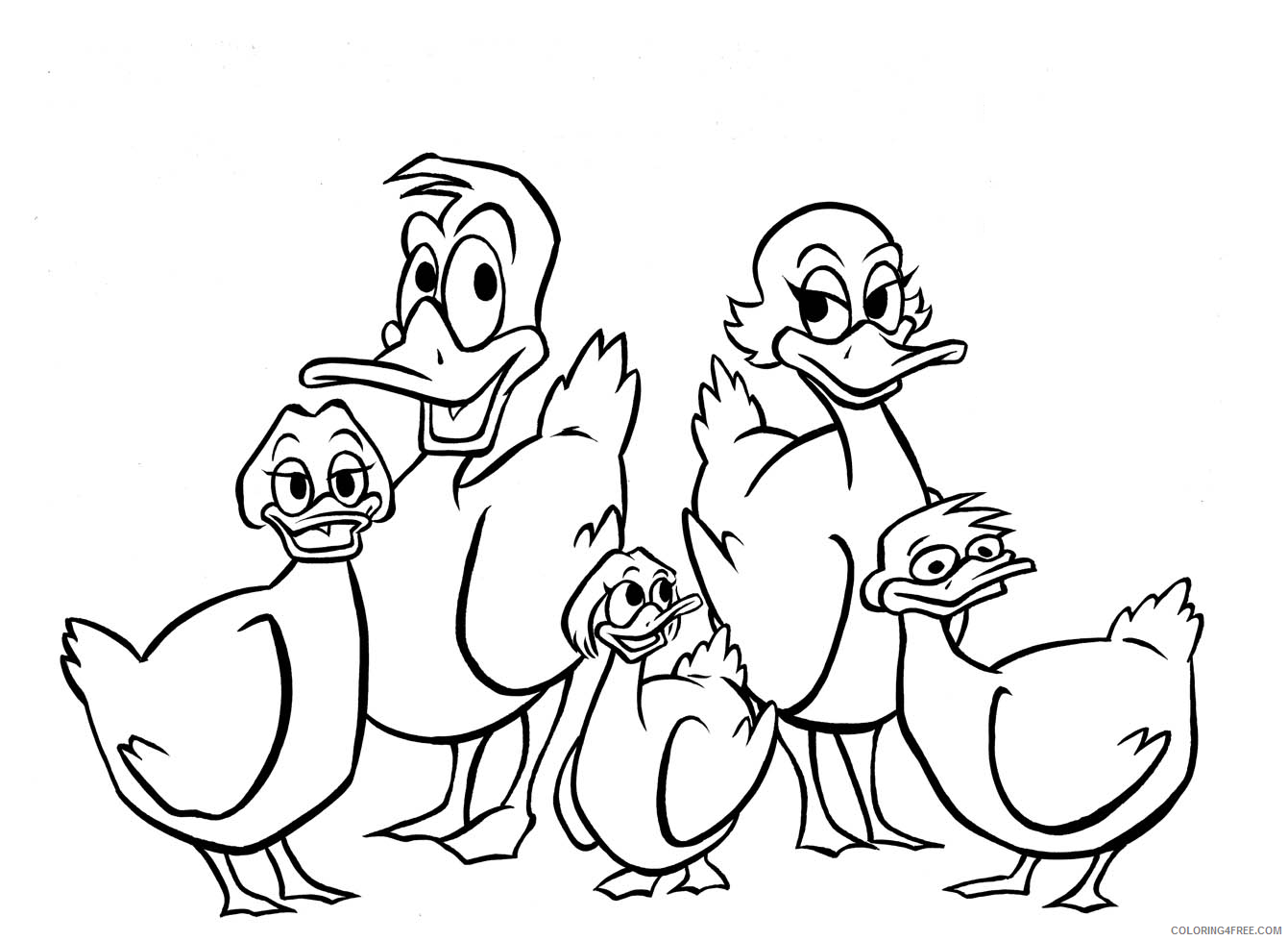 Duck Coloring Pages Animal Printable Sheets Download Duck 2021 1800 Coloring4free
