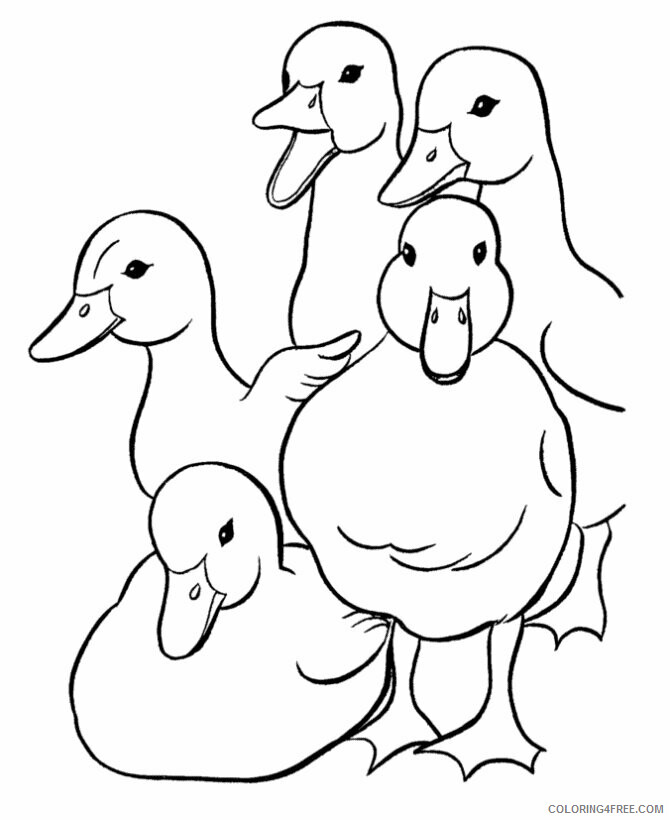 Duck Coloring Pages Animal Printable Sheets Duck For Kids 2 2021 1806 Coloring4free