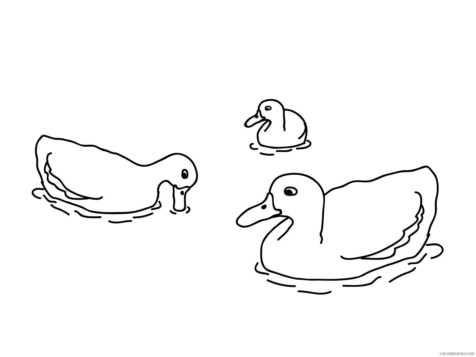 Duck Coloring Pages Animal Printable Sheets Duck In The Water 2021 1810 Coloring4free