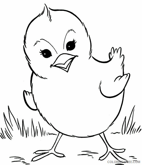 Duck Coloring Pages Animal Printable Sheets Duck Sheet for Kids 2021 1814 Coloring4free