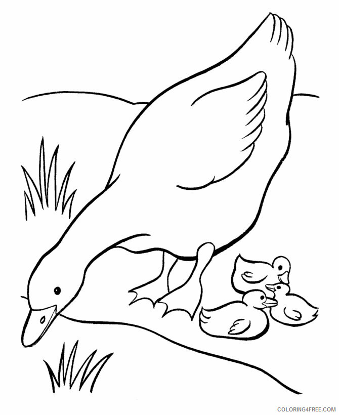 Duck Coloring Pages Animal Printable Sheets Duck Sheets for Free 2021 1815 Coloring4free