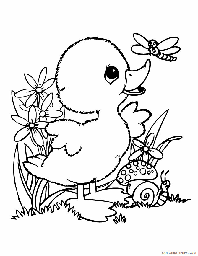 Duck Coloring Pages Animal Printable Sheets Duck and Bug Colroing 2021 1804 Coloring4free