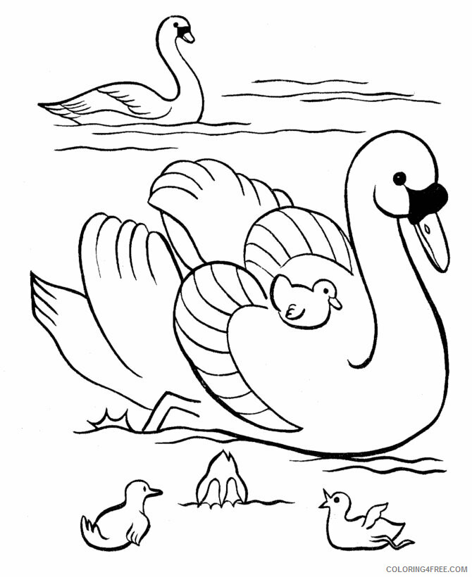 Duck Coloring Pages Animal Printable Sheets Duck for Free 2021 1805 Coloring4free