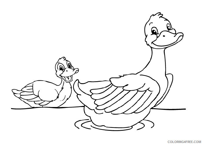 Duck Coloring Pages Animal Printable Sheets Ducks 2021 1827 Coloring4free
