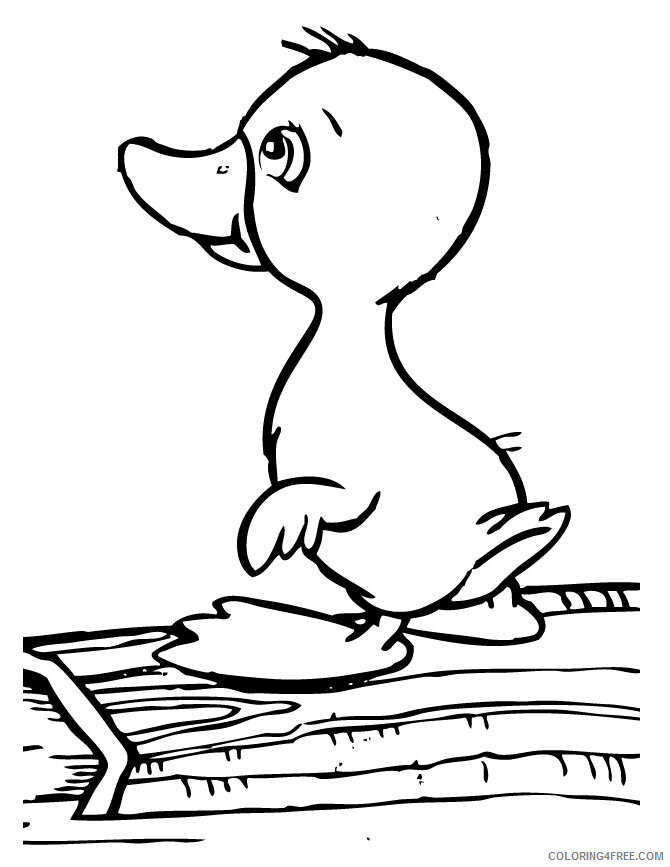 Duck Coloring Pages Animal Printable Sheets Free Duck 2021 1836 Coloring4free