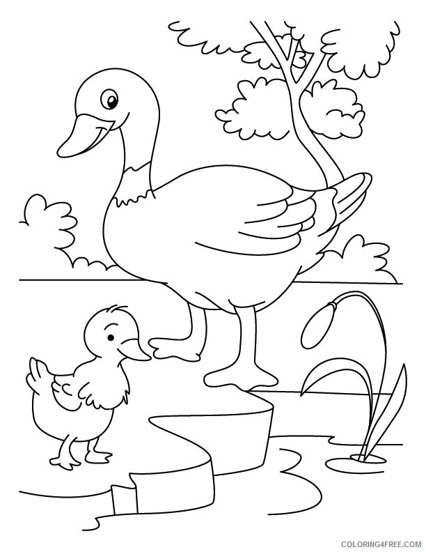 Duck Coloring Pages Animal Printable Sheets Mom and Baby Duck 2021 1838 Coloring4free