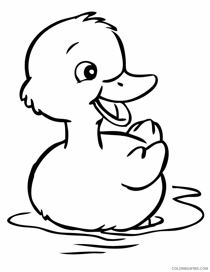 Duck Coloring Pages Animal Printable Sheets Swimming Duck 2021 1842 Coloring4free