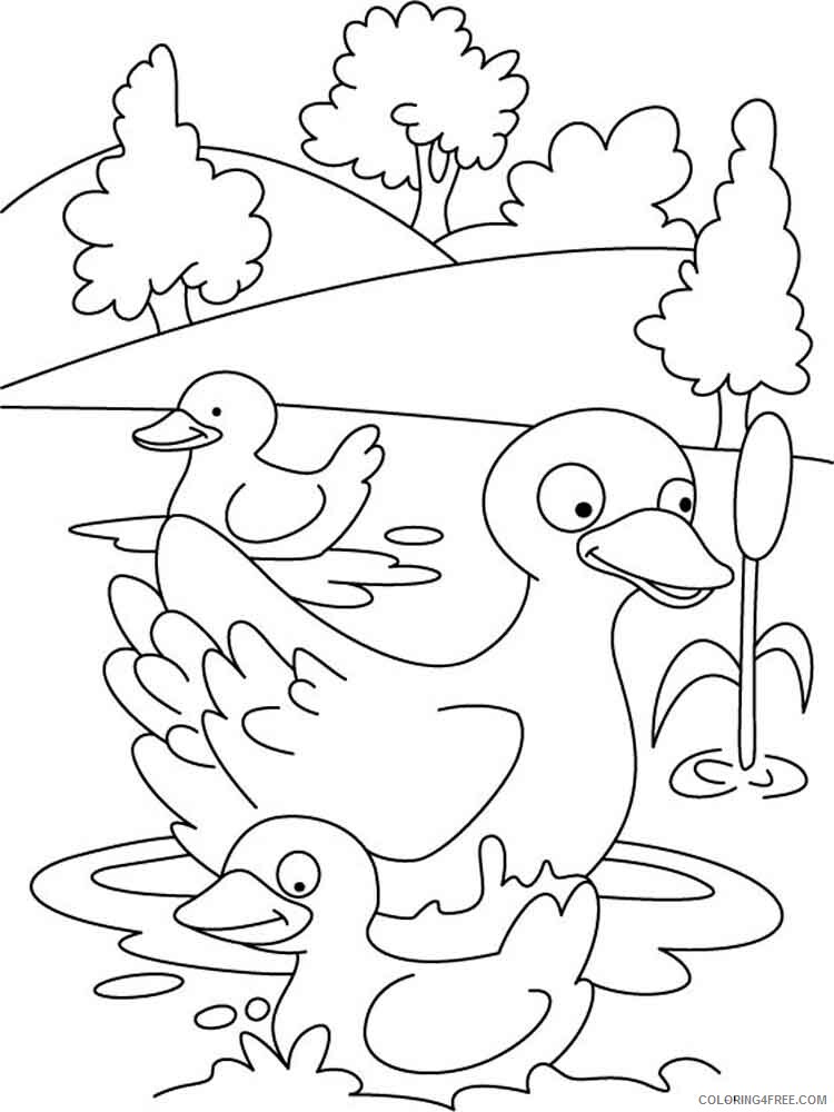 Duck Coloring Pages Animal Printable Sheets animals duck 3 2021 1792 Coloring4free