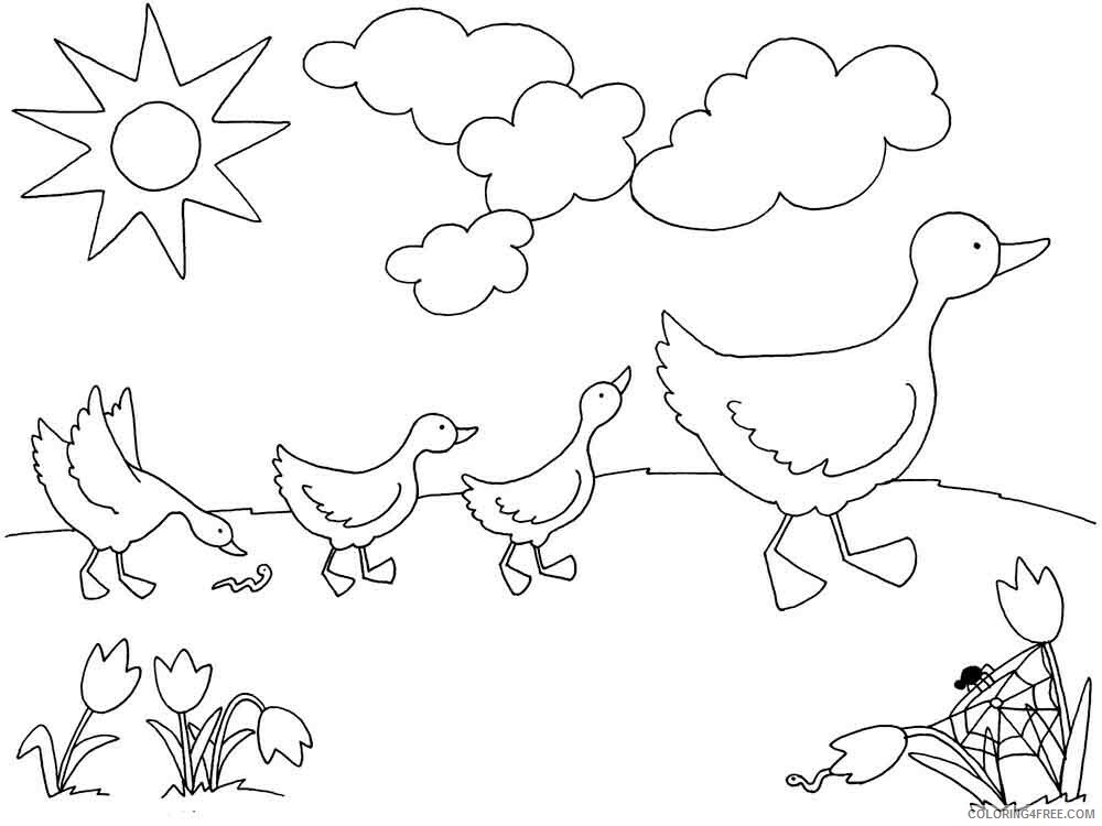 Duck Coloring Pages Animal Printable Sheets animals duck 5 2021 1793 Coloring4free
