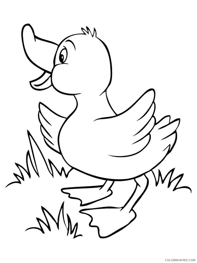 Duck Coloring Pages Animal Printable Sheets animals duck 7 2021 1794 Coloring4free