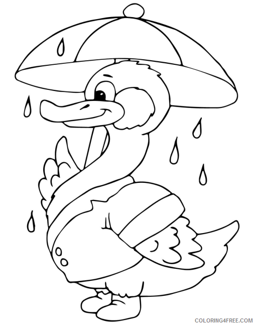 Duck Coloring Pages Animal Printable Sheets duck under the rain 2021 1829 Coloring4free