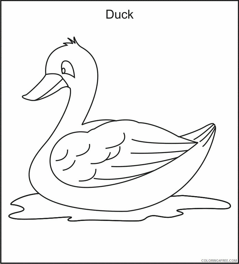 Duck Coloring Pages Animal Printable Sheets of Duck 2021 1791 Coloring4free