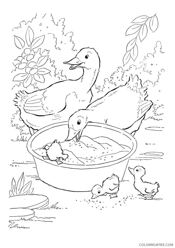 Duck Coloring Sheets Animal Coloring Pages Printable 2021 1460 Coloring4free