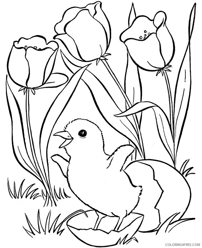 Duck Coloring Sheets Animal Coloring Pages Printable 2021 1465 Coloring4free