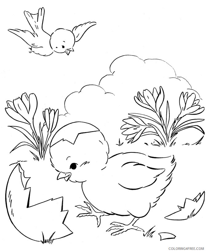 Duck Coloring Sheets Animal Coloring Pages Printable 2021 1472 Coloring4free