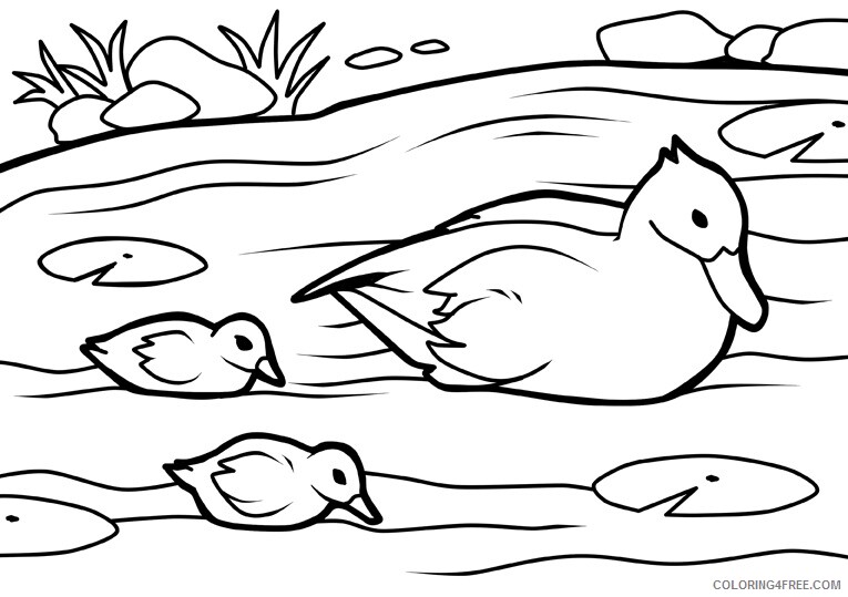 Duck Coloring Sheets Animal Coloring Pages Printable 2021 1476 Coloring4free