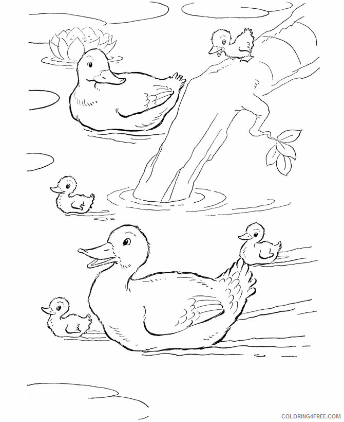 Duck Coloring Sheets Animal Coloring Pages Printable 2021 1483 Coloring4free