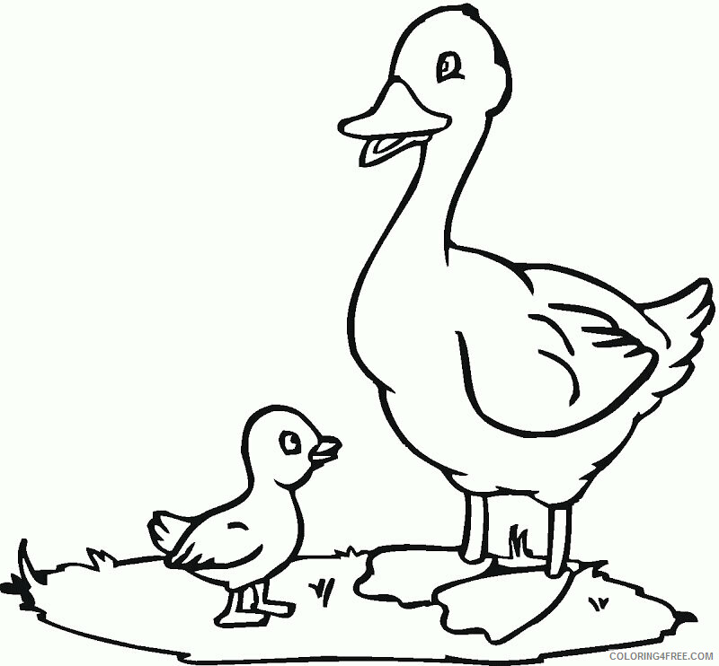 Duck Coloring Sheets Animal Coloring Pages Printable 2021 1492 Coloring4free