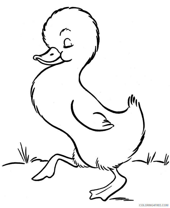 Duck Coloring Sheets Animal Coloring Pages Printable 2021 1504 Coloring4free