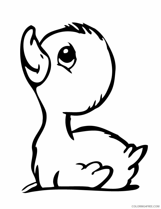 Duckling Coloring Pages Animal Printable Sheets Baby Duckling 2021 1843 Coloring4free