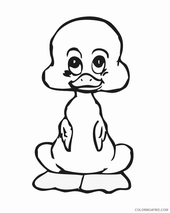Duckling Coloring Pages Animal Printable Sheets Cute Duckling 2021 1844 Coloring4free