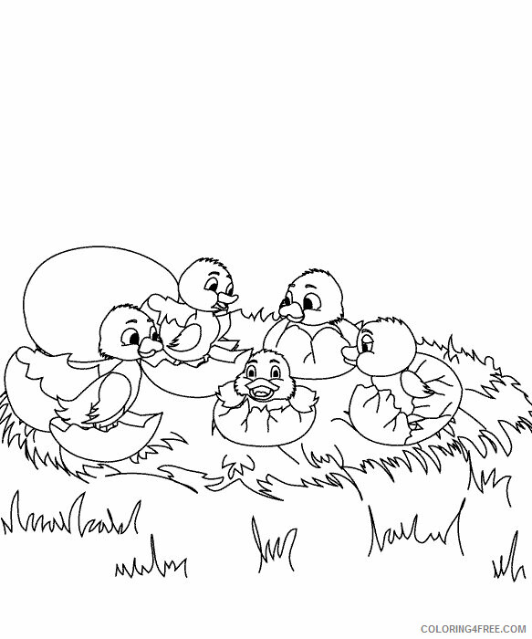 Duckling Coloring Pages Animal Printable Sheets Ducklings Hatching 2021 1851 Coloring4free
