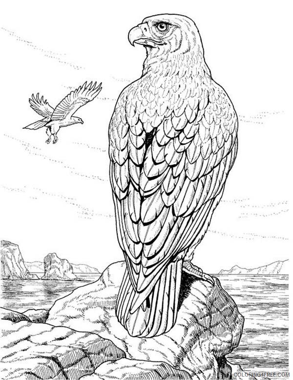 Eagle Coloring Pages Animal Printable Eagle Standing on the Edge of Cliff 2021 Coloring4free