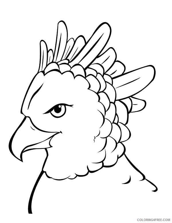 Eagle Coloring Pages Animal Printable Harpy Eagle Most Powerful Bird 2021 Coloring4free