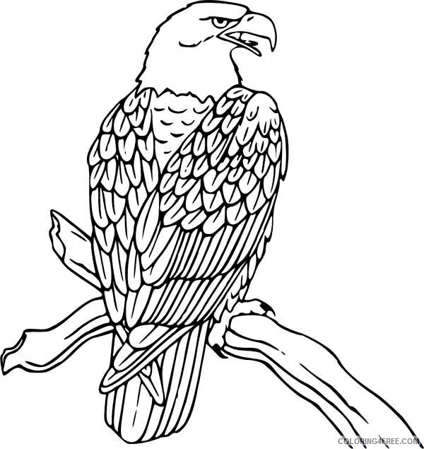 Eagle Coloring Pages Animal Printable Sheets Awesome Bird Golden Eagle 2021 1858 Coloring4free