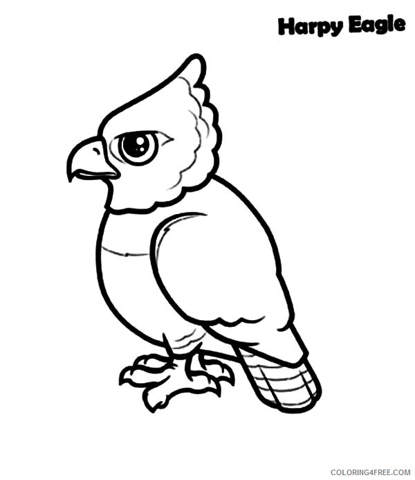 Eagle Coloring Pages Animal Printable Sheets Baby Harpy Eagle 2021 1859 Coloring4free