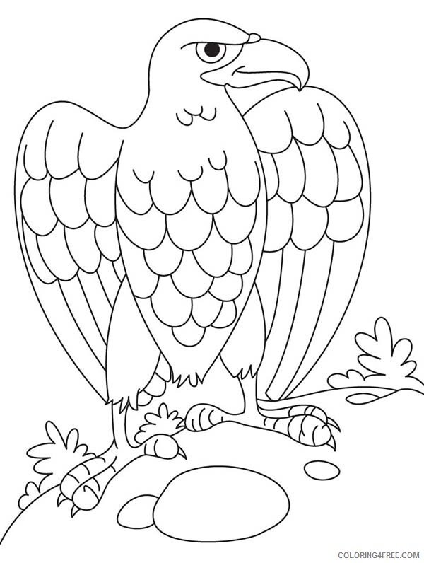 Eagle Coloring Pages Animal Printable Sheets Eagle Laying Egg 2021 1877 Coloring4free