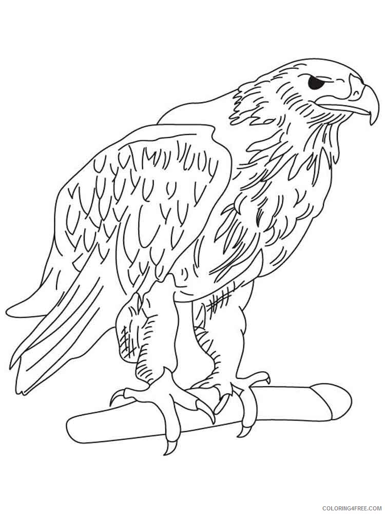 Eagle Coloring Pages Animal Printable Sheets Eagle birds 10 2021 1862 Coloring4free