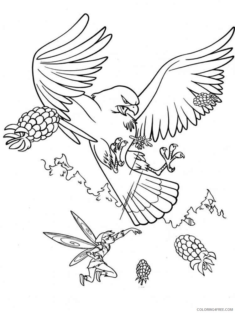 Eagle Coloring Pages Animal Printable Sheets Eagle birds 15 2021 1866 Coloring4free