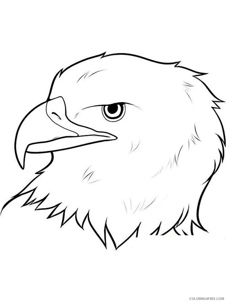 Eagle Coloring Pages Animal Printable Sheets Eagle birds 16 2021 1867 Coloring4free